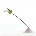 SERAX-FUJI-VASE-WHITE-FLOWER